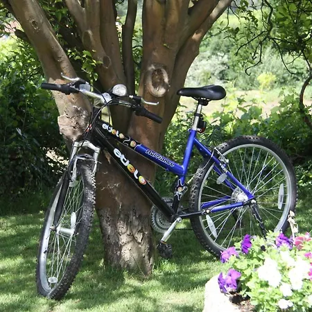 Casa Valxisto Пеньяфьель