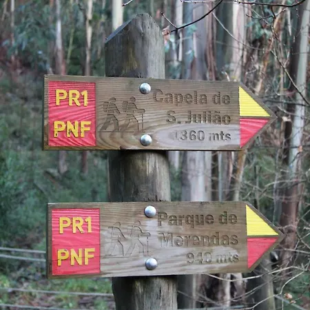 Casa di campagna Casa Valxisto Penafiel