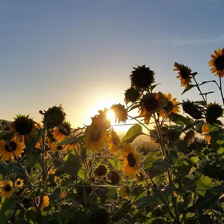 Casa di campagna Casa Valxisto Penafiel