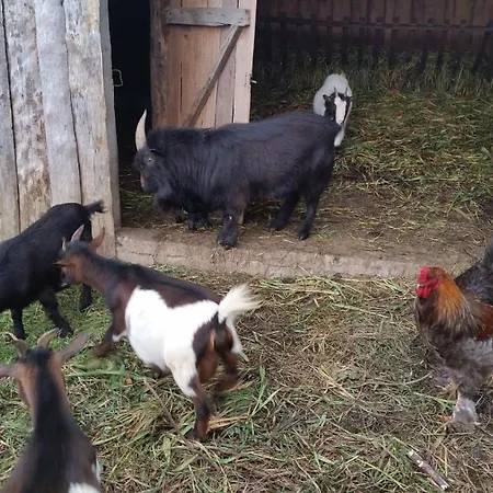 Casa di campagna Casa Valxisto Penafiel
