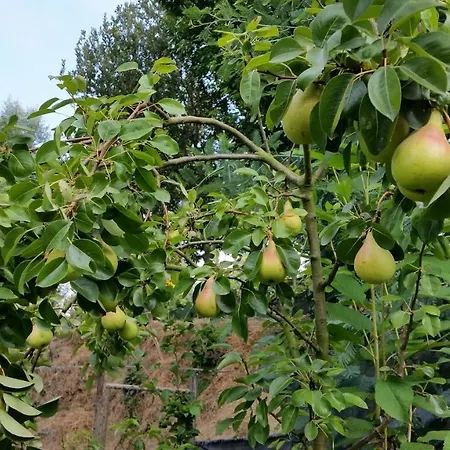 Летний дом Casa Valxisto Пеньяфьель