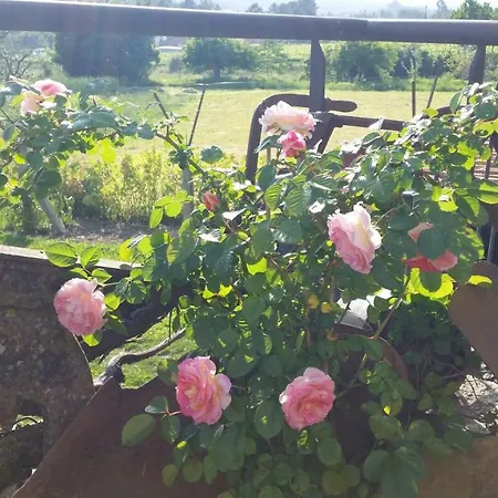 Casa Valxisto Gospodarstwo wiejskie Penafiel