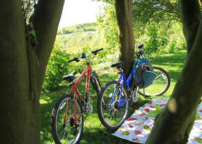 Casa Valxisto 컨트리하우스 페나피엘