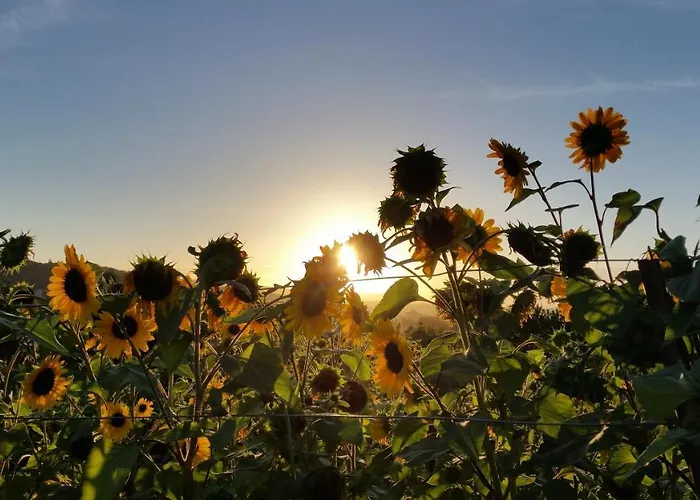 Landhuis Casa Valxisto Penafiel