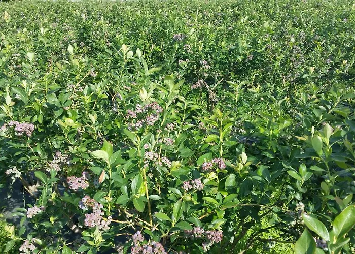 Casa Valxisto Penafiel