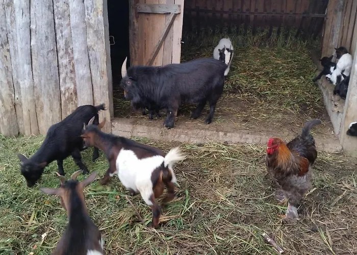 Gospodarstwo wiejskie Casa Valxisto Penafiel